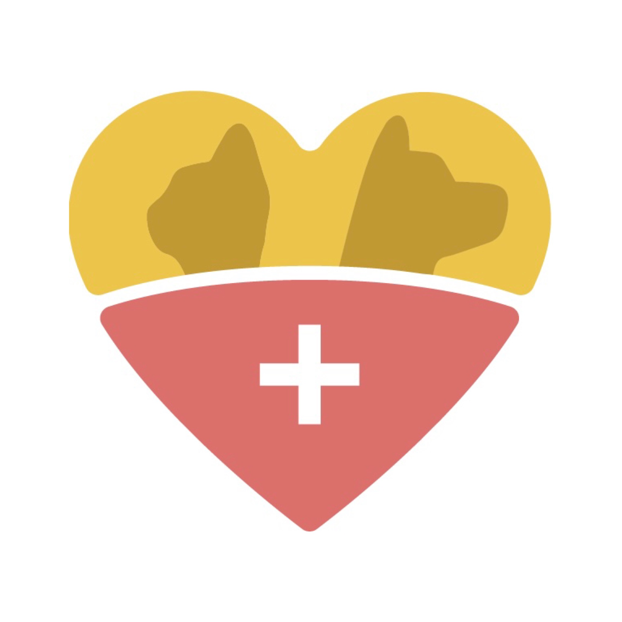 Alifa - Dr Feynene Mansouri