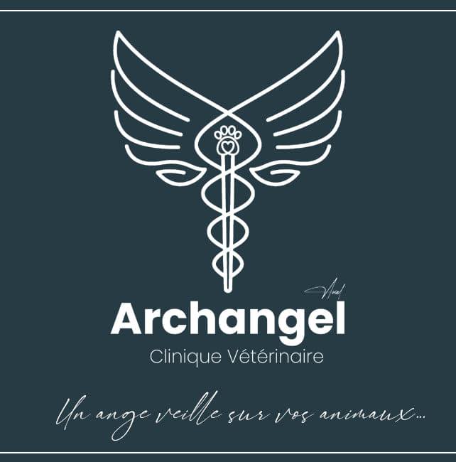 Archangel clinique veterinaire